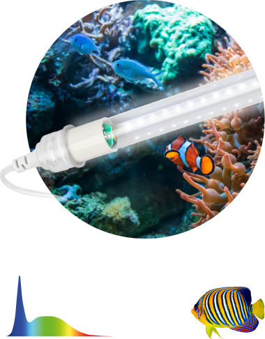 Лампа для аквариума ЭРА FITO-15W-Ra90-Т8-AQUA / Б0057418