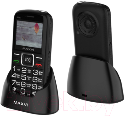 Мобильный телефон Maxvi B5ds - фото