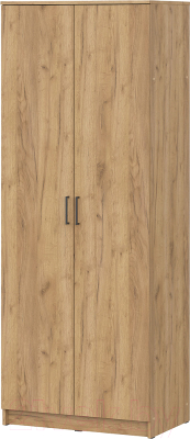Шкаф NN мебель ШК 2 (дуб золотой) - фото