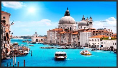 Монитор для камер видеонаблюдения Dahua DHI-LM43-S200 - фото