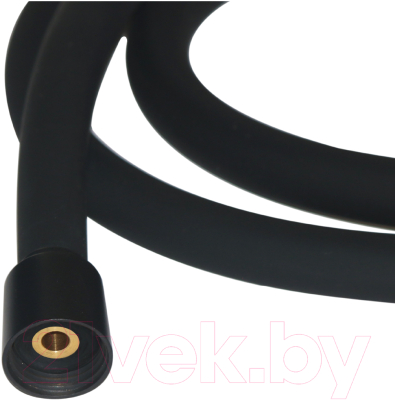 Душевой шланг Iddis Home OPH12BLi19