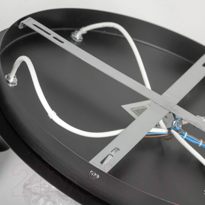 Люстра Lussole LSP-8731