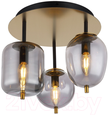 Люстра Lussole LSP-8730 - фото