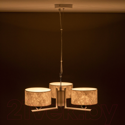 Потолочный светильник Citilux Тильда CL469130