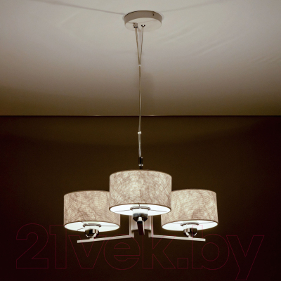 Потолочный светильник Citilux Тильда CL469130