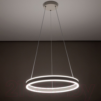 Потолочный светильник Citilux Дуэт CL719500