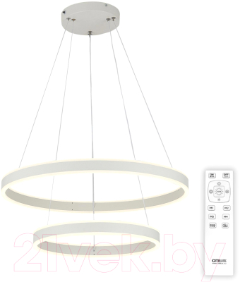 Потолочный светильник Citilux Дуэт CL719640