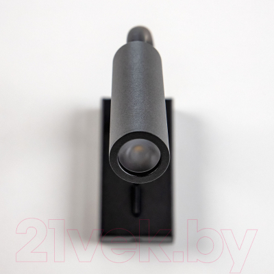 Спот Citilux Декарт CL704361