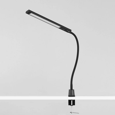 Настольная лампа Citilux Рио CL803091N