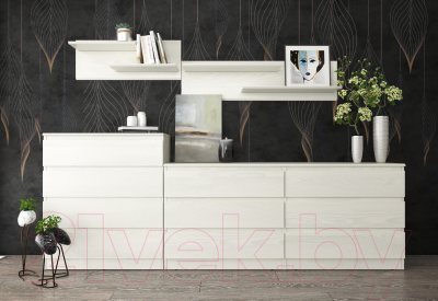 Полка Евва Турин ТР-2TL/YA-S (ясень снежный)