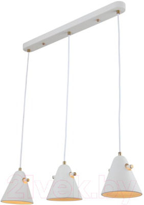 Потолочный светильник Rivoli Chelsea 3141-203 - фото