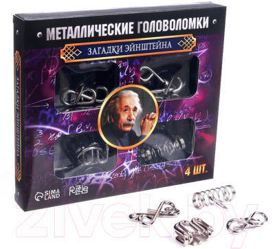 Набор головоломок Puzzle Загадки Эйнштейна Металлическая / 2528228