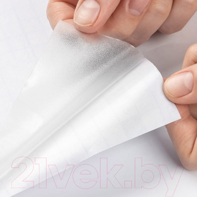 Пленка самоклеящаяся Рыжий кот Витражная 0.45x2м / 104322