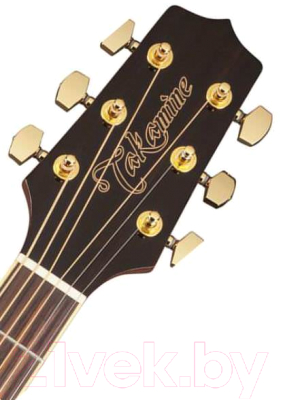 Акустическая гитара Takamine Dreadnough G50 GD51-BSB