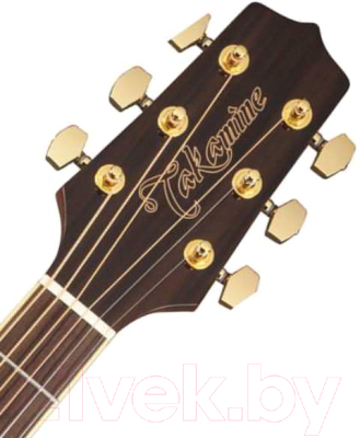 Электроакустическая гитара Takamine G50 Series GN51CE-BSB