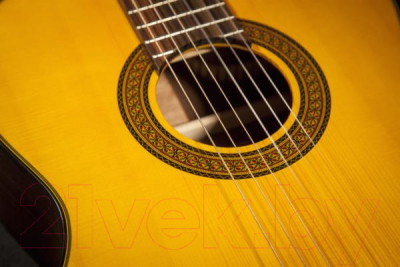 Акустическая гитара Takamine GC5 NAT
