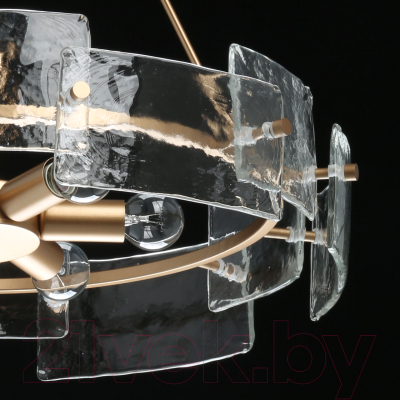 Люстра MW light Илоника 451011506