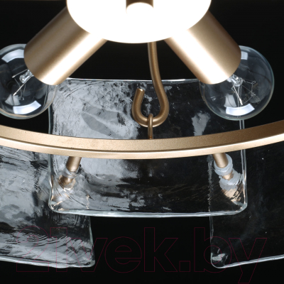 Люстра MW light Илоника 451011506