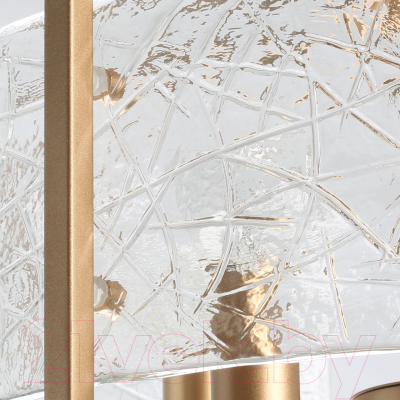 Люстра MW light Илоника 451011704