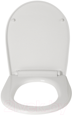 Сиденье для унитаза IDDIS Optima Home 005PPS3i31