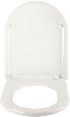Сиденье для унитаза IDDIS Optima Home 001DPSEi31