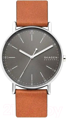 Часы наручные мужские Skagen SKW6578 - фото