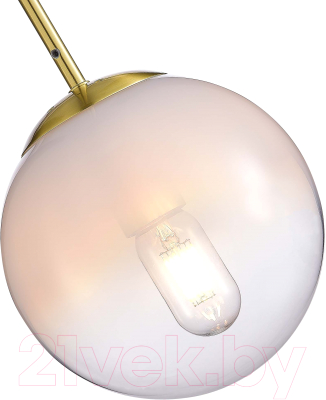 Потолочный светильник ST Luce SL1190.203.01