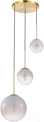 Потолочный светильник ST Luce SL1190.203.03 - фото