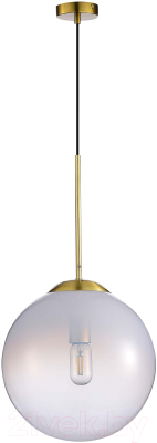 Потолочный светильник ST Luce SL1190.213.01 - фото