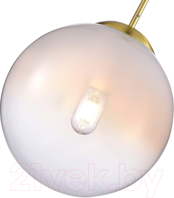 Потолочный светильник ST Luce SL1190.213.01