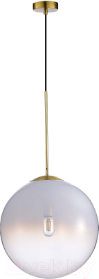 Потолочный светильник ST Luce SL1190.223.01 - фото