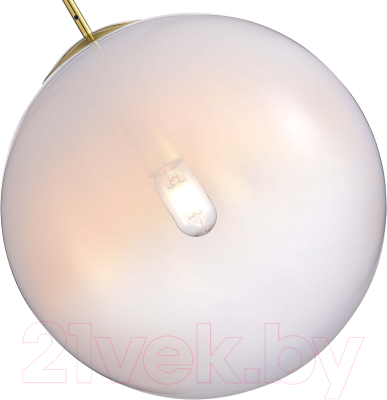 Потолочный светильник ST Luce SL1190.223.01