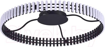 Потолочный светильник ST Luce SL6203.402.50 - фото