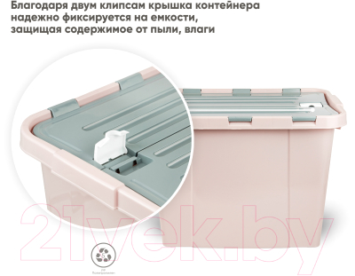 Контейнер для хранения Verde Розовый