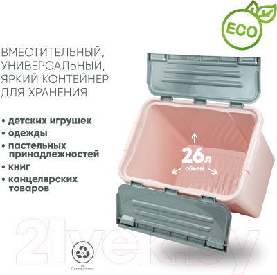 Контейнер для хранения Verde Розовый