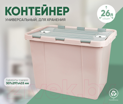 Контейнер для хранения Verde Розовый