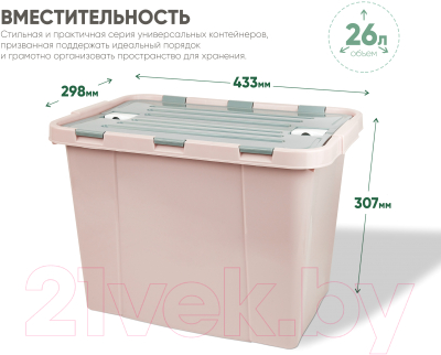 Контейнер для хранения Verde Розовый