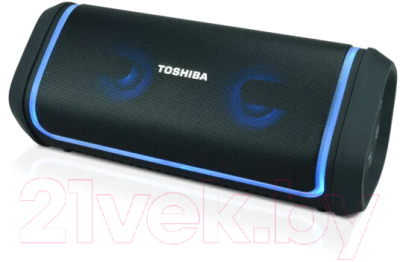 Портативная колонка Toshiba TY-WSP150