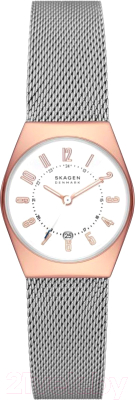 Часы наручные женские Skagen SKW3050 - фото