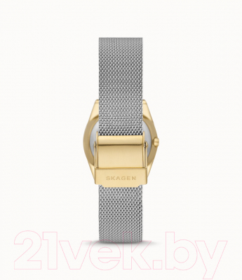 Часы наручные женские Skagen SKW3051