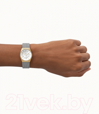 Часы наручные женские Skagen SKW3051