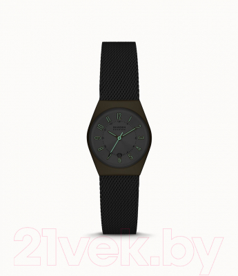 Часы наручные женские Skagen SKW3051