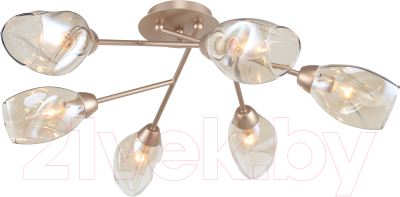 Люстра Rivoli Carrie 3124-306 - фото