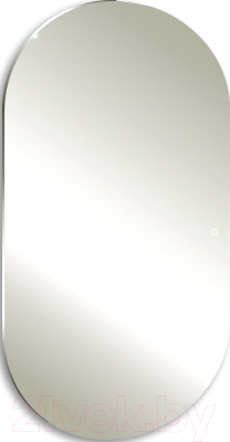 Зеркало Silver Mirrors Viva 55x105 / LED-00002549 - фото