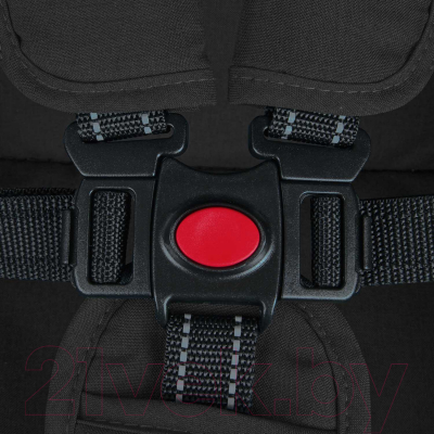 Детская прогулочная коляска INDIGO Trip