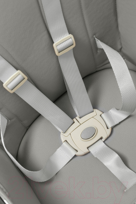 Стульчик для кормления NINO Lark