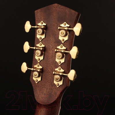 Электроакустическая гитара Cort Gold-A8-WCASE-NAT