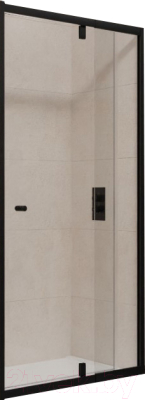 Душевая дверь RGW PA-02-B / 41080208-14 - фото