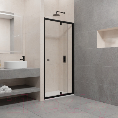 Душевая дверь RGW PA-02-B / 41080208-14