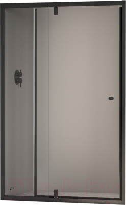 Душевая дверь RGW PA-02-B / 41080209-14 - фото